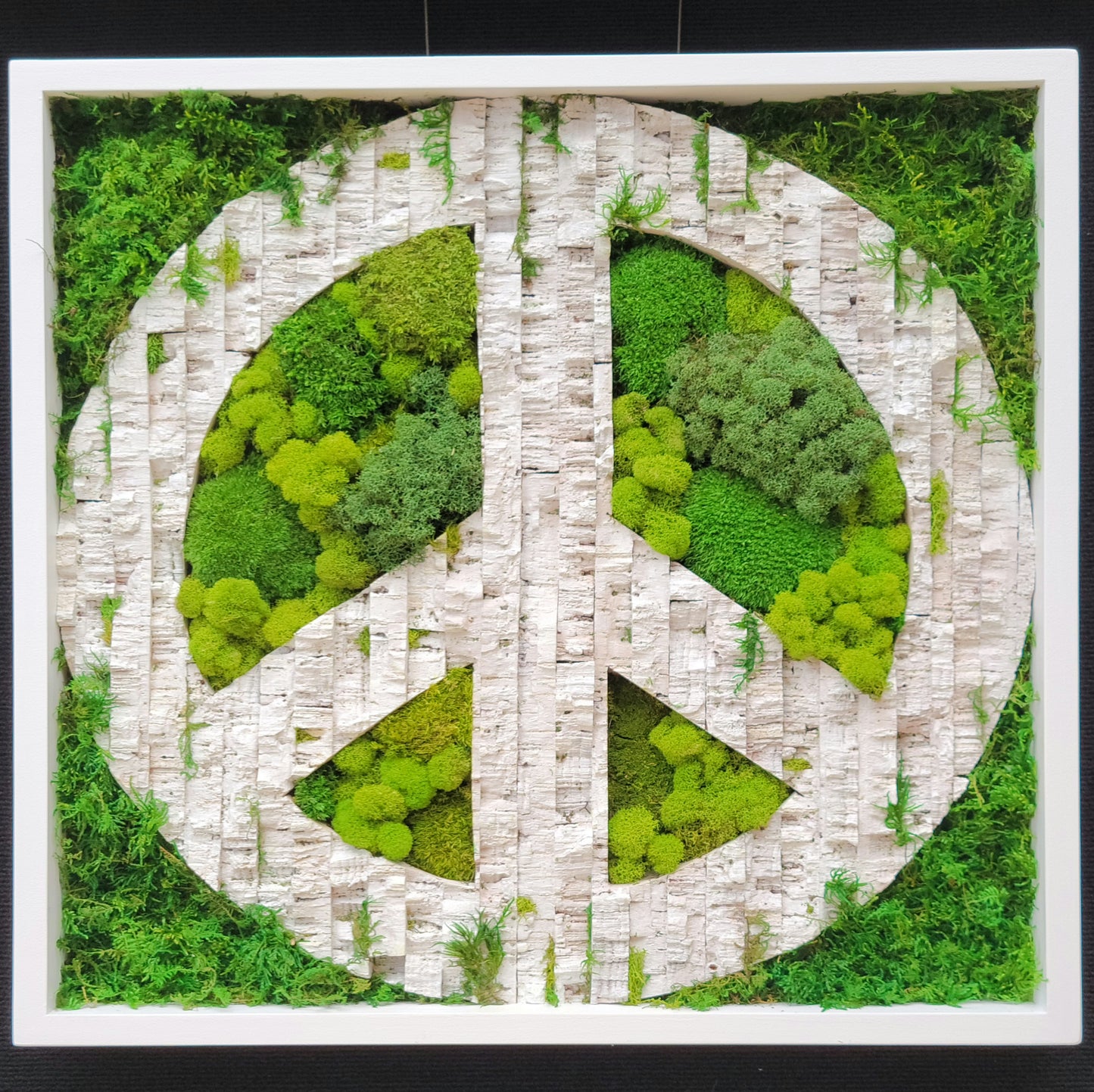 Moss Peace Sign