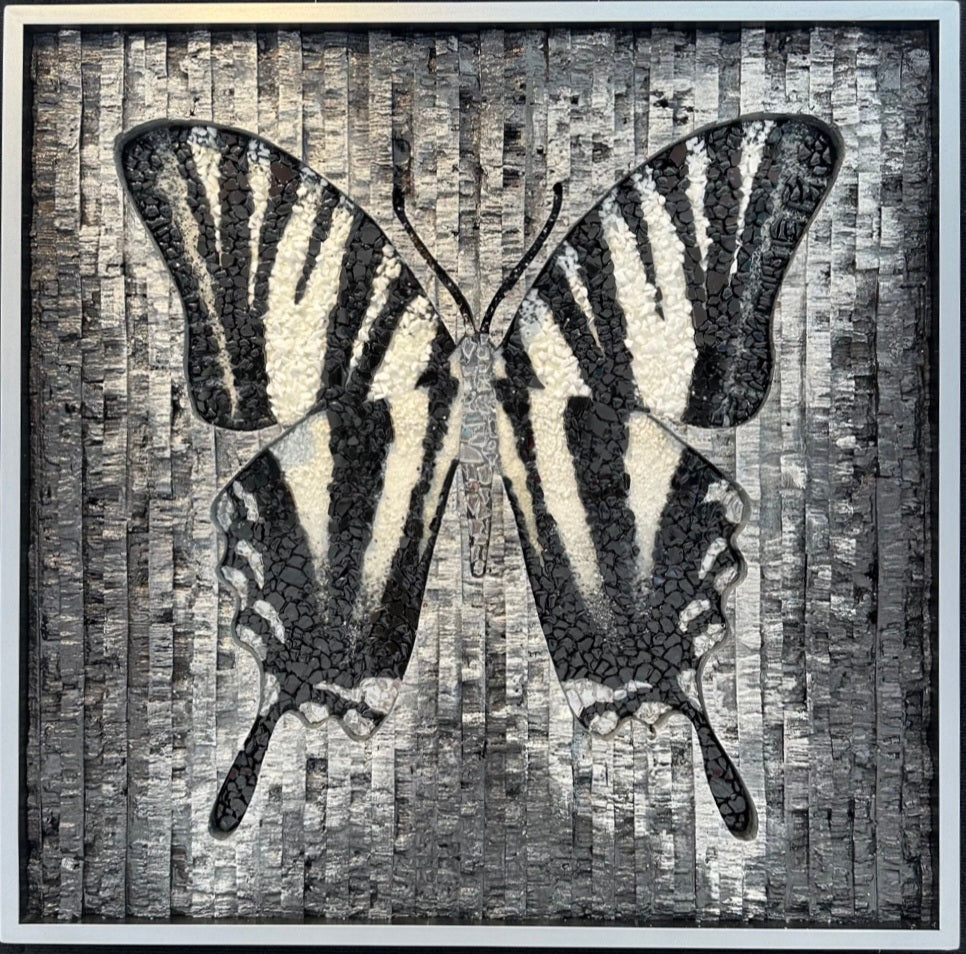 Zebra Butterfly