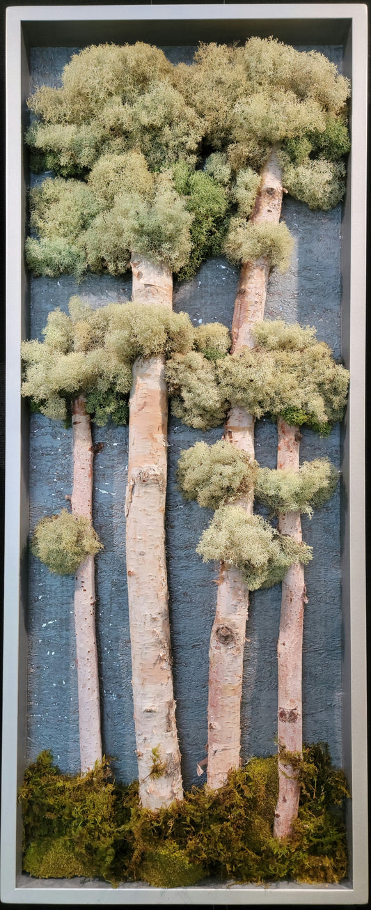 Silver Forest 16x48