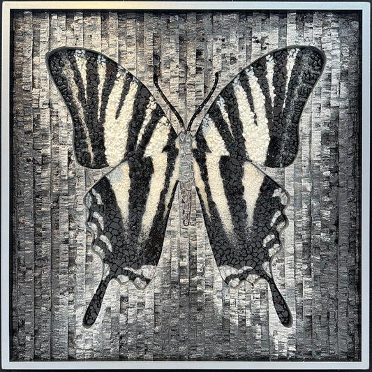 BLACK & WHITE BUTTERFLY 36X36