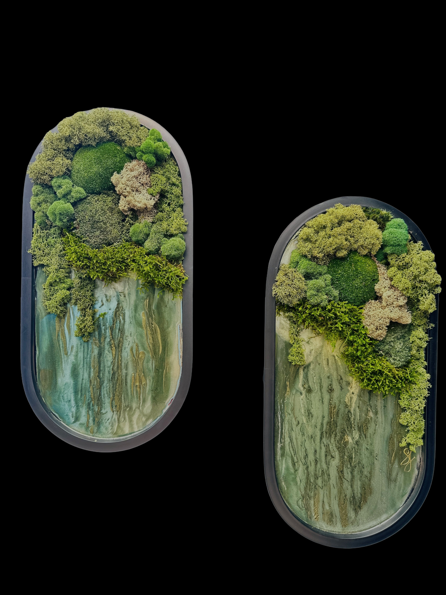 NATURAL MEDICINE DYPTIC