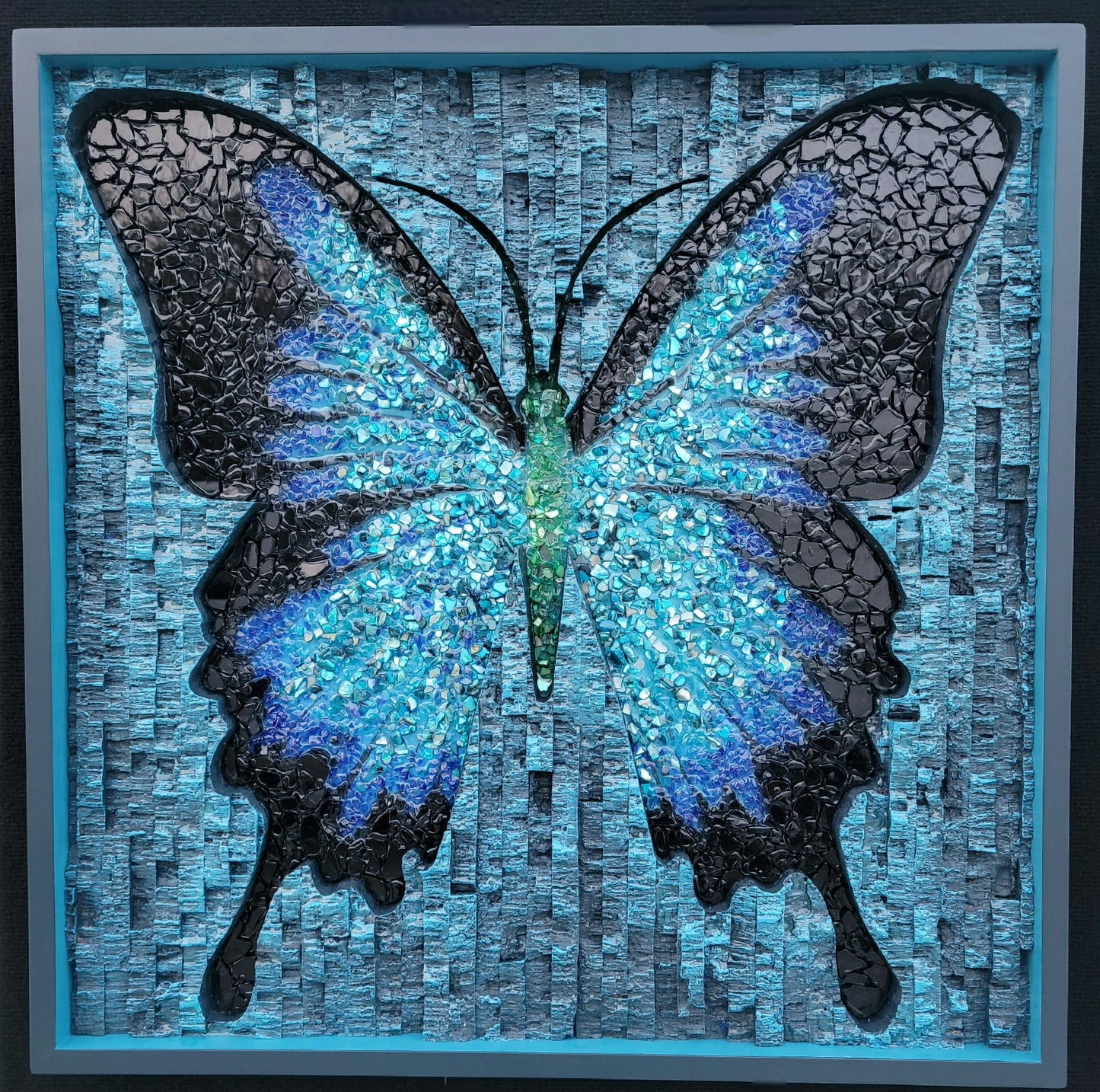 Butterfly - Midnight Butterfly - 30 x 30