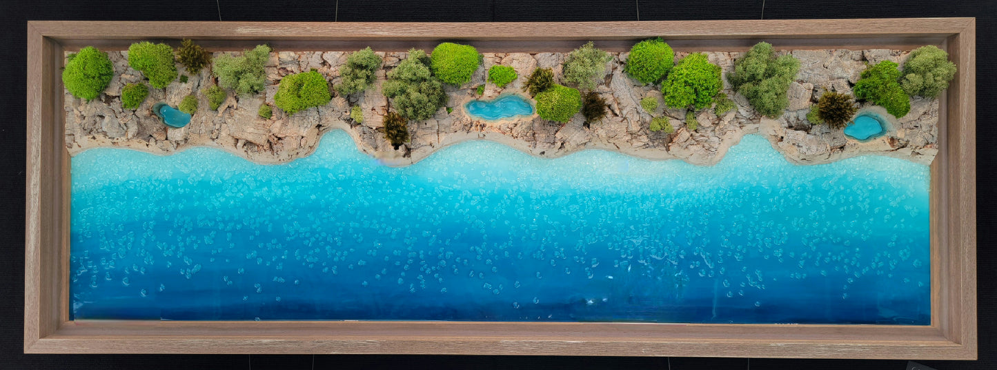 Coast - 26 x 62