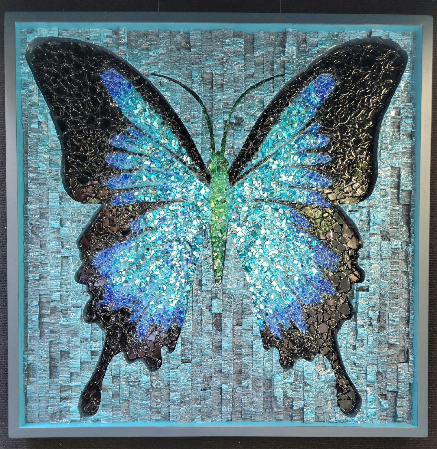 Butterfly - Midnight Butterfly - 30 x 30